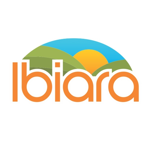 Criação de logotipos profissionais